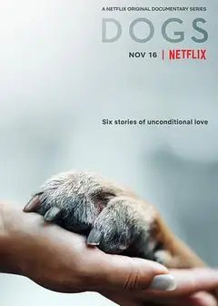 爱犬情深第一季