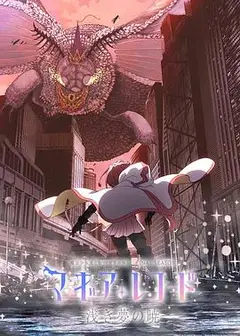 魔法纪录：魔法少女小圆外传