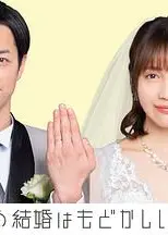 部长和社畜的结婚令人着急 特别篇
