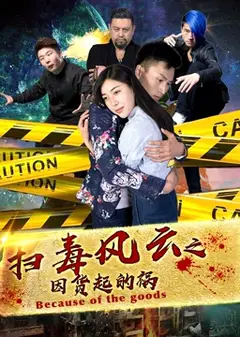 扫毒风云之因货起的祸