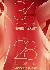 中国电视剧飞天奖暨星光奖 2024
