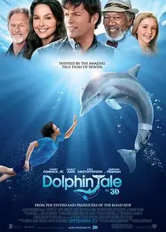 海豚的故事