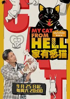 家有恶猫