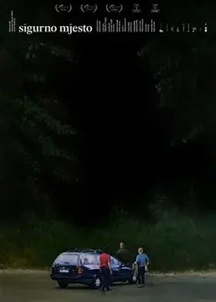 安全领域