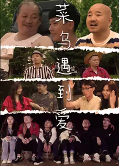 菜鸟遇到爱