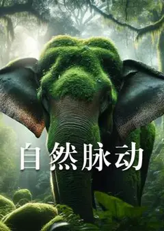 自然脉动