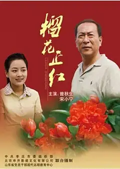 榴花正红