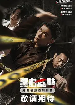 黑白森林剧版