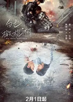 白色橄榄树