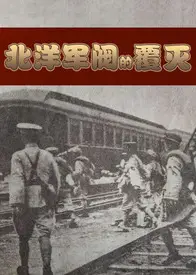 北洋军阀的覆灭