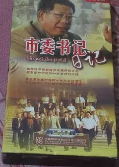 市委书记日记