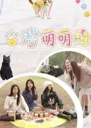 台湾萌萌的