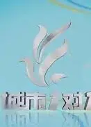城市1对1