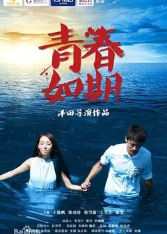 青春如期