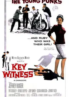 法网难逃（1960）