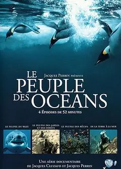 海洋王国