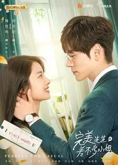 完美先生和差不多小姐（速看版）