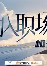初入职场·机长季