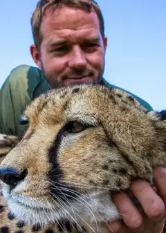 屋中大猫
