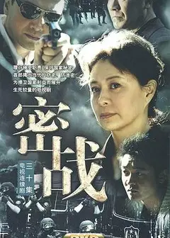 密战2009