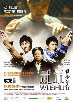 武术之少年行