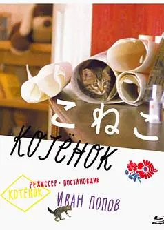 小猫虎子
