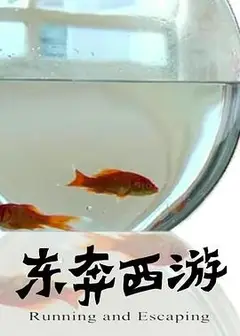11度青春之《东奔西游》