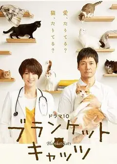 毛毯猫
