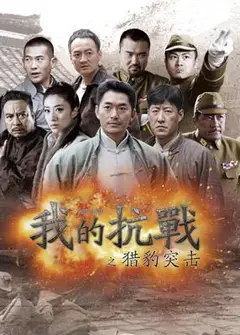 我的抗战之猎豹突击