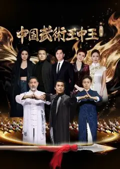 中国武术王中王 第二季
