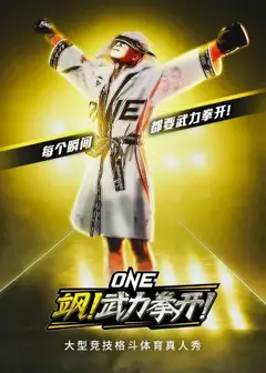 飒！武力拳开