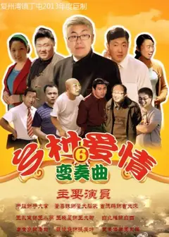 乡村爱情变奏曲