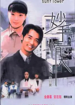 妙手情天韩语