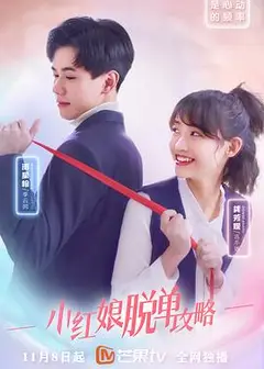 小红娘脱单攻略