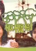 橄榄树1983
