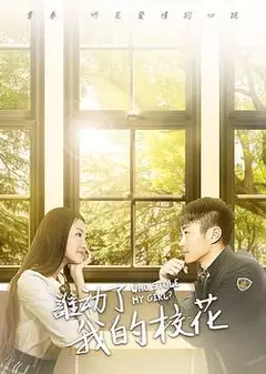 谁动了我的校花