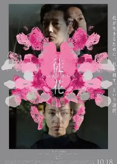 谎花