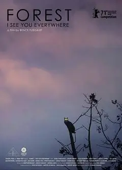 森林随处可见