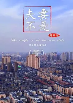 夫妻不是同林鸟