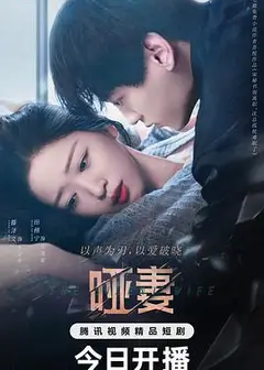 哑妻
