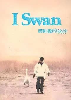 我和我的伙伴