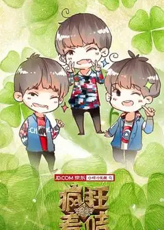 疯狂的麦咭第二季