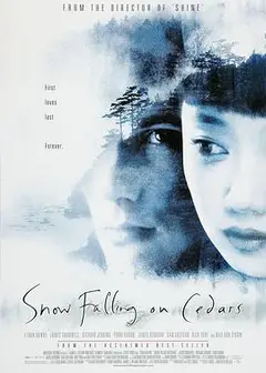 落在香杉树的雪花