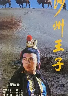 沙州王子