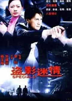 盗影谜情