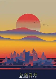 为你盛开—许巍《无尽光芒》巡回演唱会现场纪念