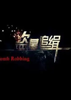 盗墓追缉