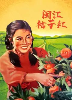闽江桔子红