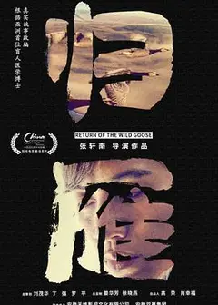 归雁