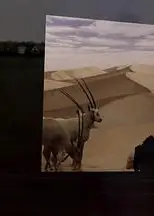 何处是巧克力山